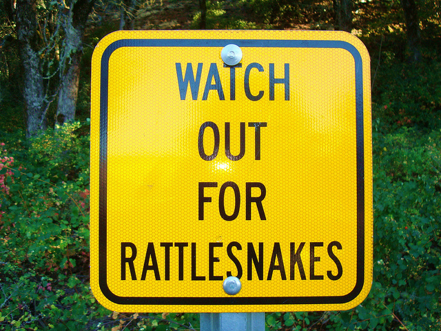 watchout for rattlesnake